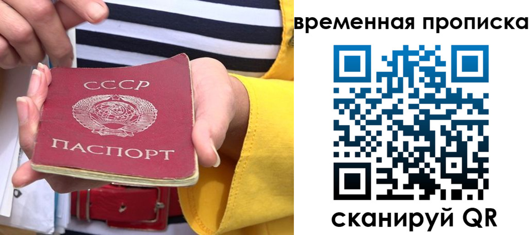 прописка для школы в Санкт-Петербурге